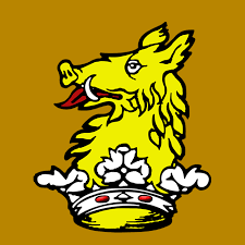 Dane Court Grammar School