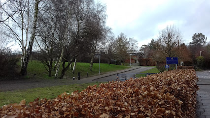 Archbishop's School